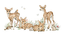 Watercolor Forest Baby Animals. Cute Deer, Flowers, Mushrooms, Berries. Summer Woodland, Nature Scene, Valley. Wildlife Creatures