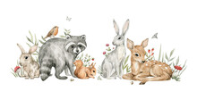 Watercolor Forest Baby Animals. Raccoon, Deer, Hare, Squirrel, Flowers, Mushrooms. Summer Woodland, Nature Scene, Valley. Wildlife Creatures