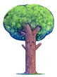 Kawaii style childish tree illustration