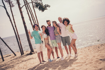 Poster - Photo of six people gathering cuddle posing show v-sign enjoy summer wear casual outfit nature seaside beach