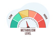 Flat vector illustration of metabolism level scale with arrow and measurement value. High and low nutrient metabolic rate. Infographic gauge element with speedometer indicators on white background.