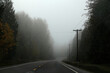 Landstraße im Nebel durch einen Wald, Washington, USA