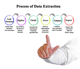 Wall Mural - Six Components of Process of Data Extraction