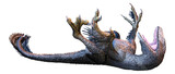 Fototapeta Zwierzęta - 3D Rendering Dinosur Dakotaraptor on White