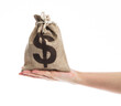 Hand holding a money bag with dollar sign