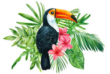 Floral Exotic Illustration With Bird, Tropical Leaves, Plumeria Flowers. Toucan Watercolor Isolated On White Background