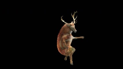 Wall Mural - deer dancing cg fur 3d rendering animal realistic cgi vfx animation loop composition 3d mapping cart