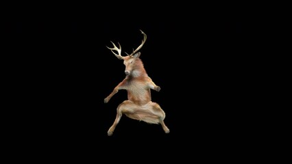 Wall Mural - deer dancing cg fur 3d rendering animal realistic cgi vfx animation loop composition 3d mapping cart