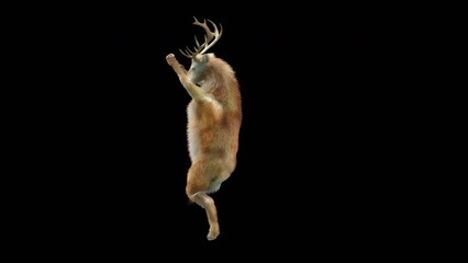 Wall Mural - deer dancing cg fur 3d rendering animal realistic cgi vfx animation loop composition 3d mapping cart