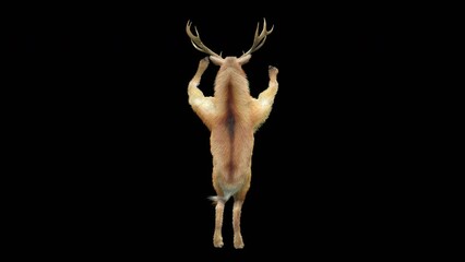 Wall Mural - deer dancing cg fur 3d rendering animal realistic cgi vfx animation loop composition 3d mapping cart