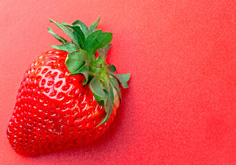 Wall Mural -  a very tasty strawberry on a red