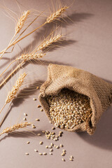 Wall Mural - Burlap bag of dry raw broken pearl barley cereal grain