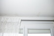 gray mold on the ceiling and walls, dampness in the house
