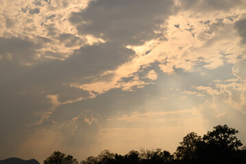 Wall Mural - Beautiful sky with cloud and sunlight above trees before sunset, Natural background