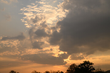 Wall Mural - Vanilla sky with cloud and sunlight above trees before sunset, Natural background
