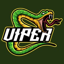 Viper Angry Mascot Logo Gaming Vector Illustration