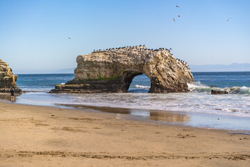 Wall Mural - Natural Bridges State Beach, Santa Cruz