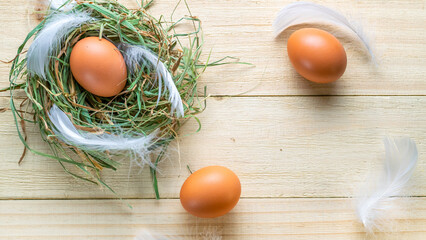 Wall Mural - Easter natural colour eggs in basket with spring tulips, white feathers on wooden table background in Happy Easter decoration. Festive decoration in flat lay.