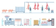 Pork Meat Production Conveyor From Farm Pig To Butcher Shop. Butchery Manufacture Process Stage. Sausage Product Industry Vector Infographic