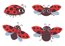 Cartoon Ladybug Insects With Red Black Wings