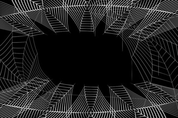 Wall Mural - halloween cobweb background. halloween cobweb wallpaper.