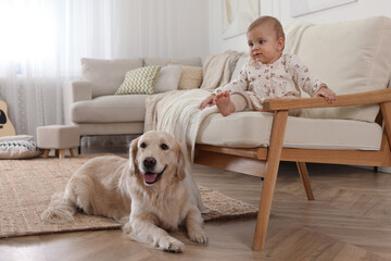 Poster - Cute little baby with adorable dog at home