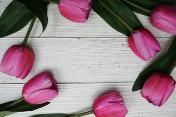 Sticker - Pink tulip flower with space copy on wooden background