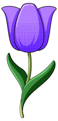 Canvas Print - Purple tulip with leaves