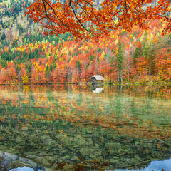 Wall Mural - spectacular autumn scene of hinterer langbathsee lake.