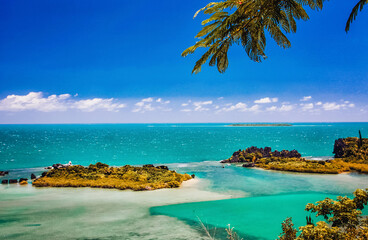 Wall Mural - The virgin nature of New Caledonia with its beautiful landscapes