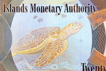 Hawksbill Turtle From Cayman Islands Money