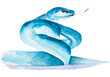 Watercolor drawing of blue viper isolated on the white background. Hand painted illustration of blue snake