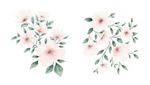 Watercolor Pale Pink Flowers Bouquet Collection Vector Design