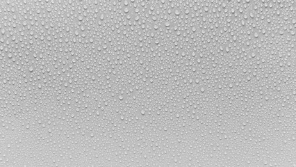 Wall Mural - Water droplets on gray background covered with water droplets, bubbles in water.