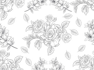 Wall Mural - Beautiful rose line art seamless pattern