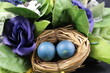 Osterschmuck auf schwarzem Hintergrund. Osterdekorationen in Nahaufnahme. Arrangements mit gefärbten Eiern im Nest. Rosen mit grünen Blättern, die mit einer Schleife verziert sind. Symbole des Lebens.