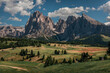 Meadows with wooden cabins at Alpe di Siusi during summer with view to mountains of Plattkofel and Langkofel in the Dolomite Alps in South Tyrol, Italy.