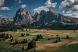 Meadows with wooden cabins at Alpe di Siusi during summer with view to mountains of Plattkofel and Langkofel in the Dolomite Alps in South Tyrol, Italy.