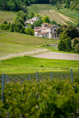 Wall Mural - Cognac vineyard, village and Bouteville Church and castle, vintage great champagne