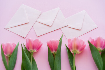 Canvas Print - top view of row with blooming tulips and envelopes isolated on pink.