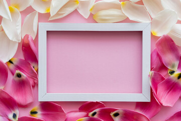 Wall Mural - top view of frame on white and pink floral petals.