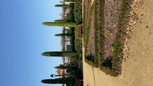 Laribal Garden In Barcelona. Vertical Video