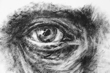Close-up Of An Old Man's Eye. The Picture Is Drawn By A Liner