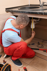 Poster - Plumber repairing sink in kitchen