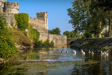 Tower and walls of Cahir castle on the river Suir with swans and ducks. Tipperary, Ireland.