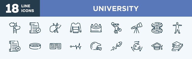 Poster - set of university icons in outline style. university thin line icons collection. ascend, passed, liver, sweatshirt, concave, cheerleader vector.