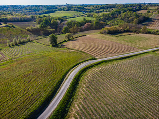 Canvas Print - Aerial view of vineyard in spring, Bordeaux Vineyard, Gironde, France, High quality photo