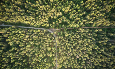 Poster - Road turn in forest