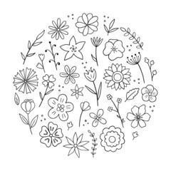 Wall Mural - Hand drawn set of flowers and branches doodle. Floral and herbal elements.in sketch style. Vector illustration isolated on white background.