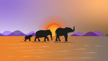 Elephant Silhouette At Sunset 